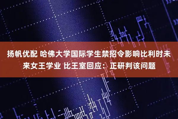 扬帆优配 哈佛大学国际学生禁招令影响比利时未来女王学业 比王室回应：正研判该问题
