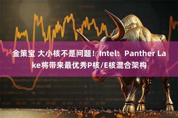 金策宝 大小核不是问题！Intel：Panther Lake将带来最优秀P核/E核混合架构