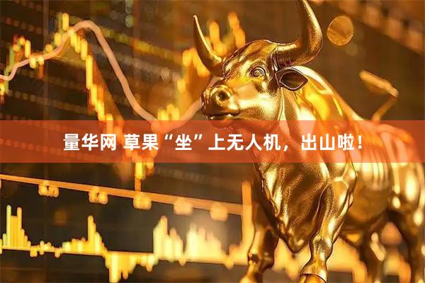 量华网 草果“坐”上无人机,出山啦!