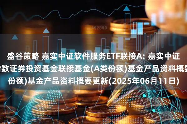 盛谷策略 嘉实中证软件服务ETF联接A: 嘉实中证软件服务交易型开放式指数证券投资基金联接基金(A类份额)基金产品资料概要更新(2025年06月11日)