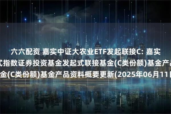 六六配资 嘉实中证大农业ETF发起联接C: 嘉实中证大农业交易型开放式指数证券投资基金发起式联接基金(C类份额)基金产品资料概要更新(2025年06月11日)