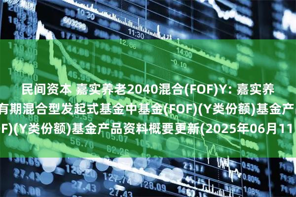 民间资本 嘉实养老2040混合(FOF)Y: 嘉实养老目标日期2040五年持有期混合型发起式基金中基金(FOF)(Y类份额)基金产品资料概要更新(2025年06月11日)